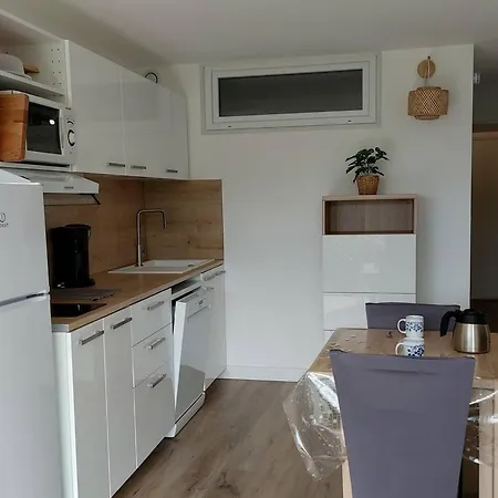 Renove Proche Plage, Commerces, Clim, Wifi, Parking - Fr-1-328-230 *