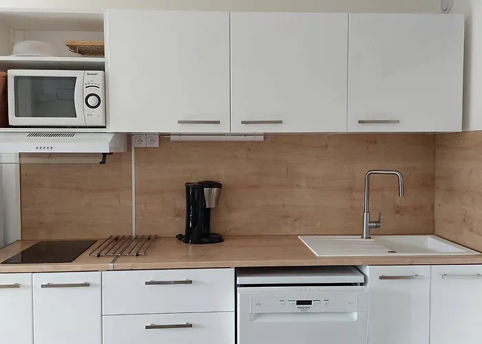 Renove Proche Plage, Commerces, Clim, Wifi, Parking - Fr-1-328-230 Apartman *